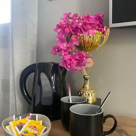 ヴィラ Lotus In Camli Village, Jacuzzi And Pool